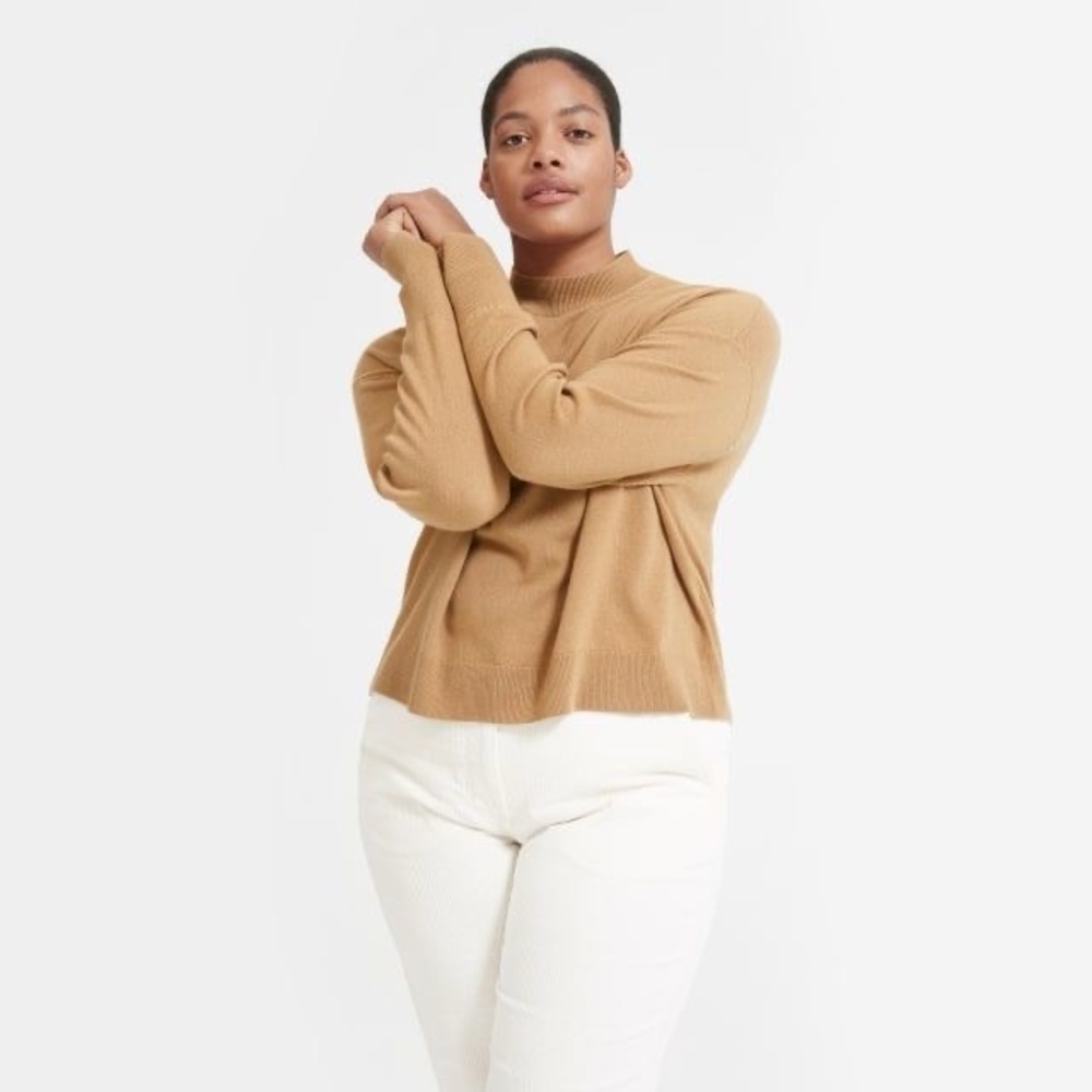 Everlane | The Cashmere Crop Mockneck